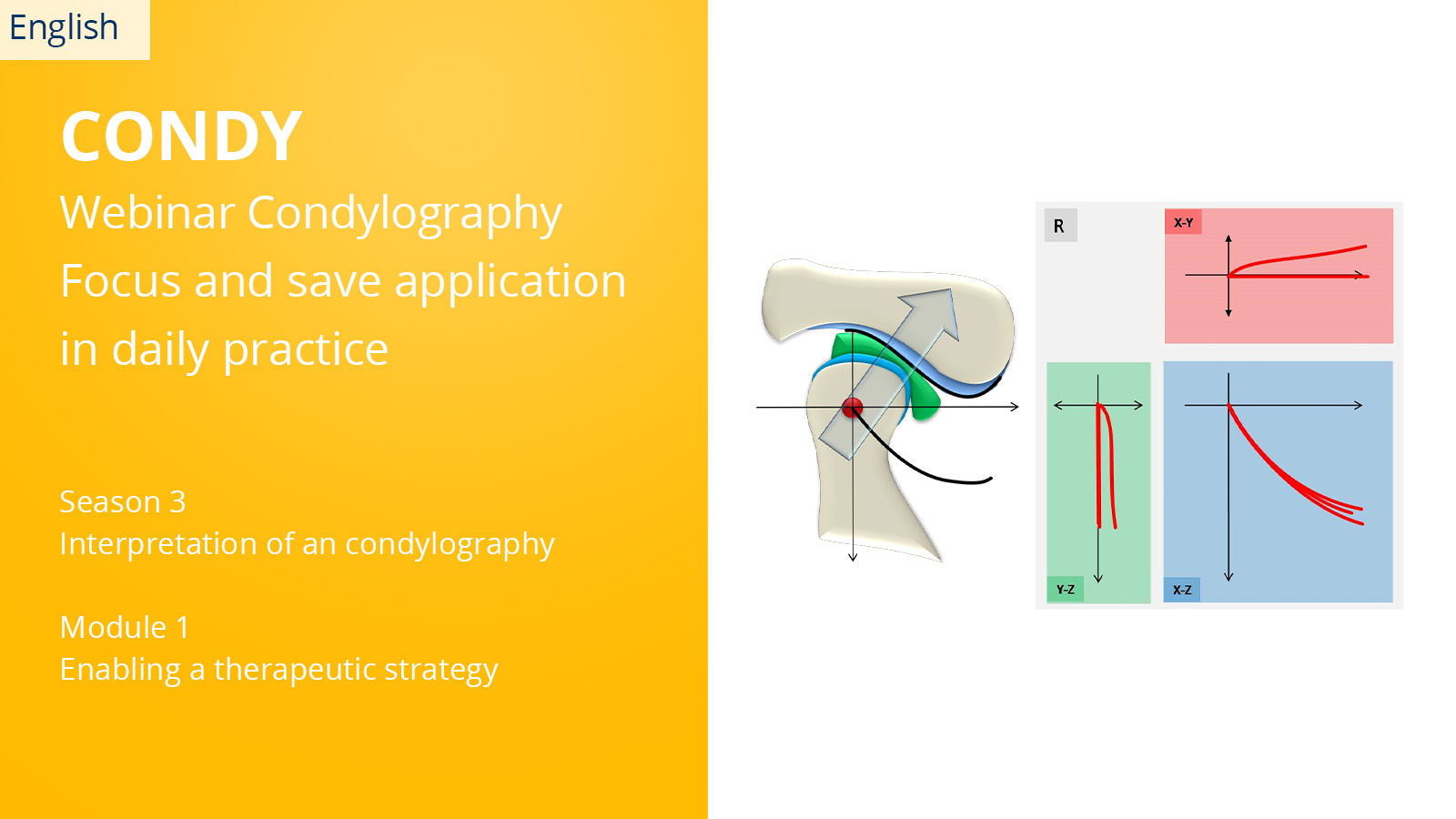 CONDYLOGRAPHY Season 3 – Module 1 – Enabling a therapeutic strategy