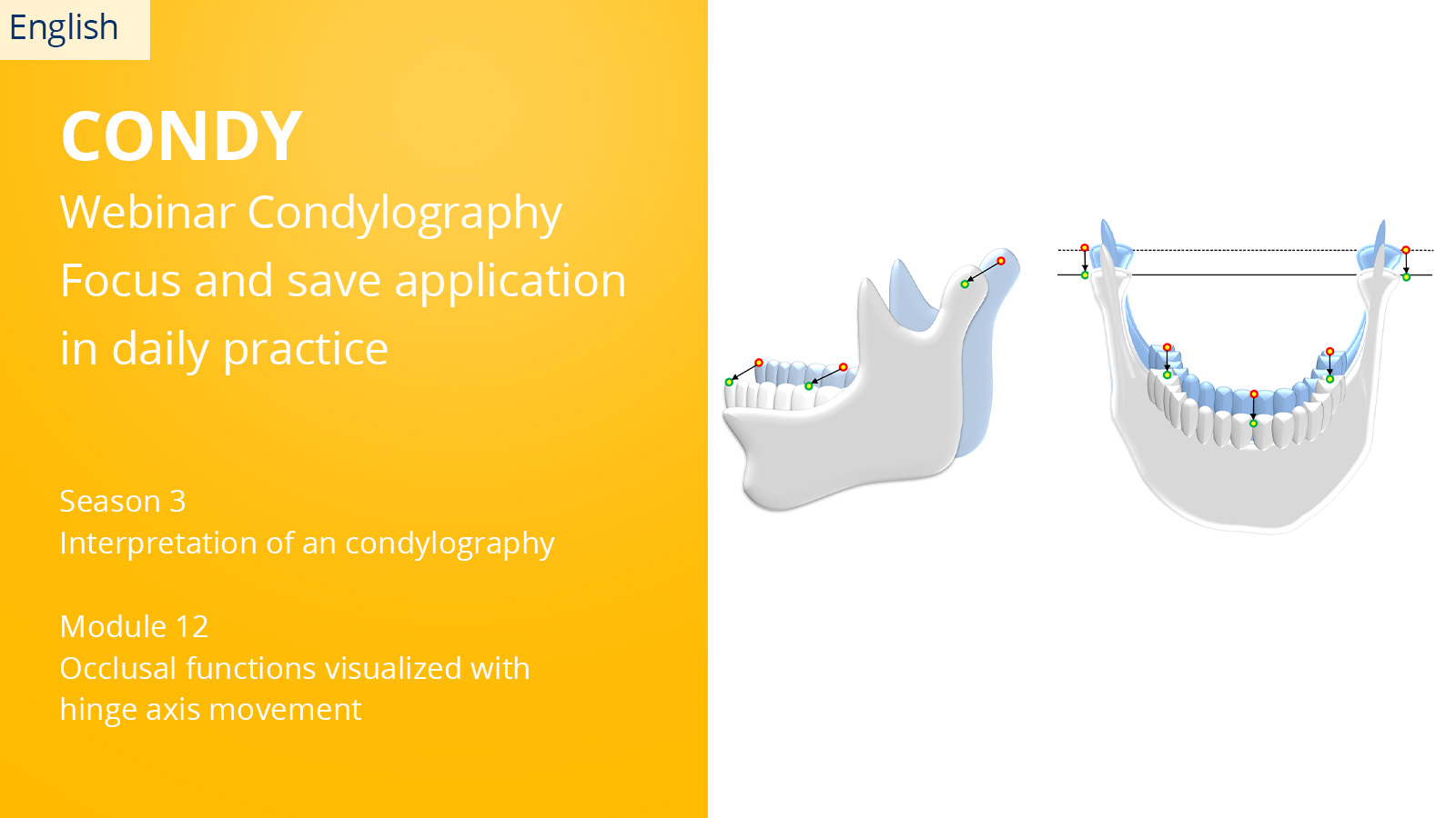 CONDYLOGRAPHY Season 3 – Module 12 – Occlusal functions visualized with hinge axis movement